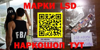 apvp Кингисепп