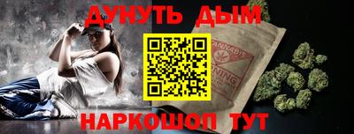 apvp Кингисепп