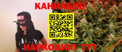 apvp Кингисепп