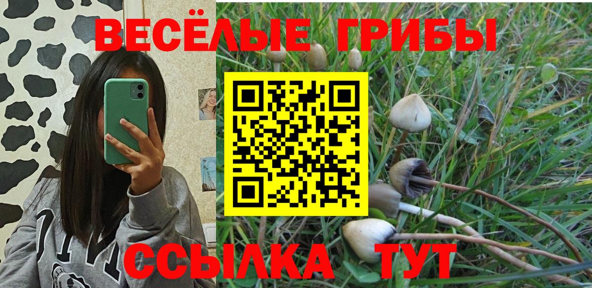 Галлюциногенные грибы MAGIC MUSHROOMS Вичуга