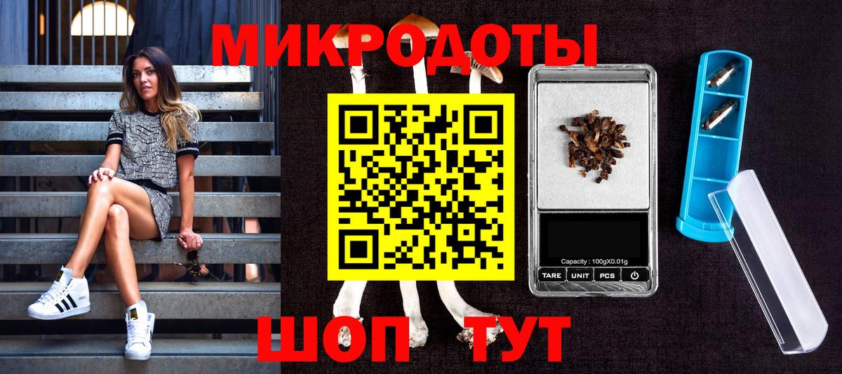 Вичуга  купить  сайты  Вход с VPN  Галлюциногенные грибы Magic Shrooms 
